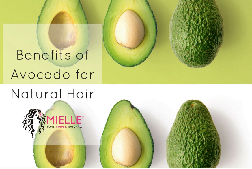 Benefits of Avocado for Natural Hair Skin Care Top News