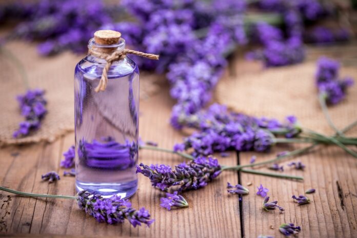Best Essential Oils for Wrinkles: Our Top 8