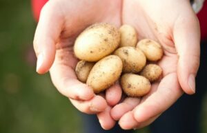 Get glowing skin with potato and turmeric powder