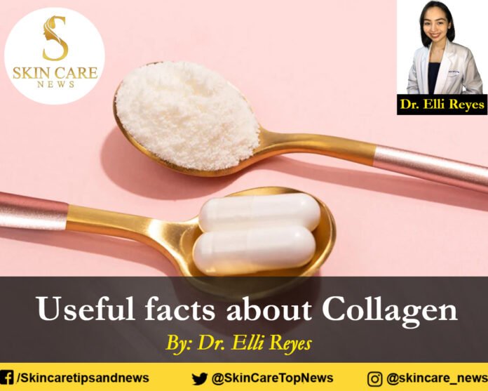 Useful facts about Collagen