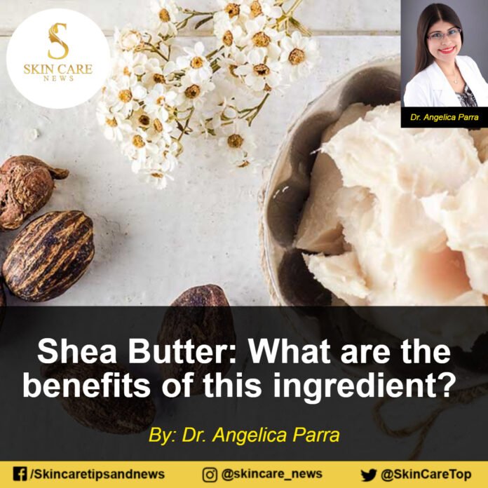Shea Butter: What are the benefits of this ingredient?