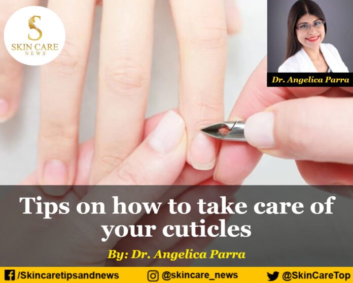 Tips on how to take care of your cuticles Skincare Top News