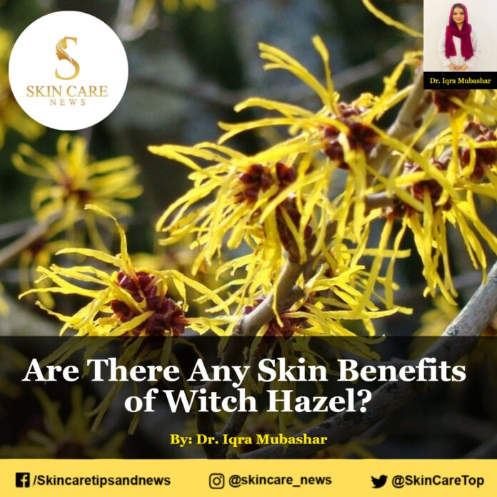 Are There Any Skin Benefits of Witch Hazel?