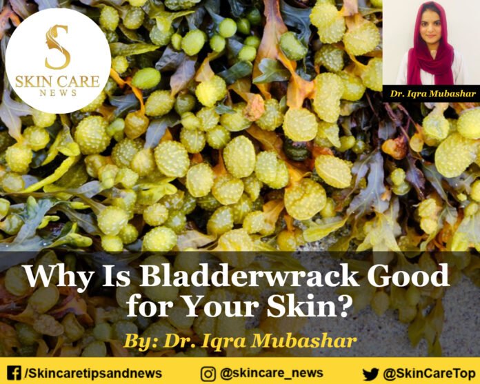 Why Is Bladderwrack Good for Your Skin?