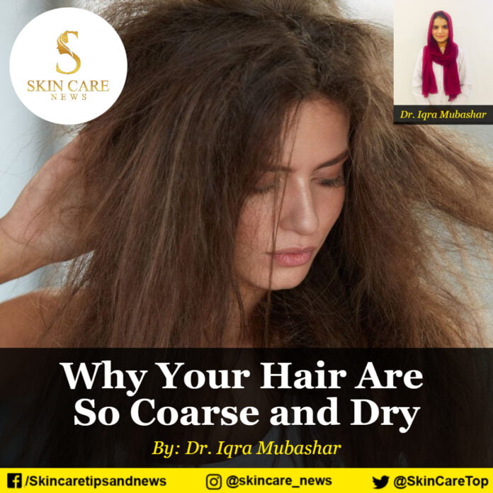 Why Your Hair Are So Coarse and Dry