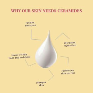 Everything You Need to Know About Ceramides