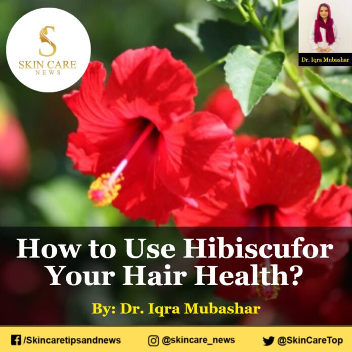 How to Use Hibiscus for Your Hair Health?