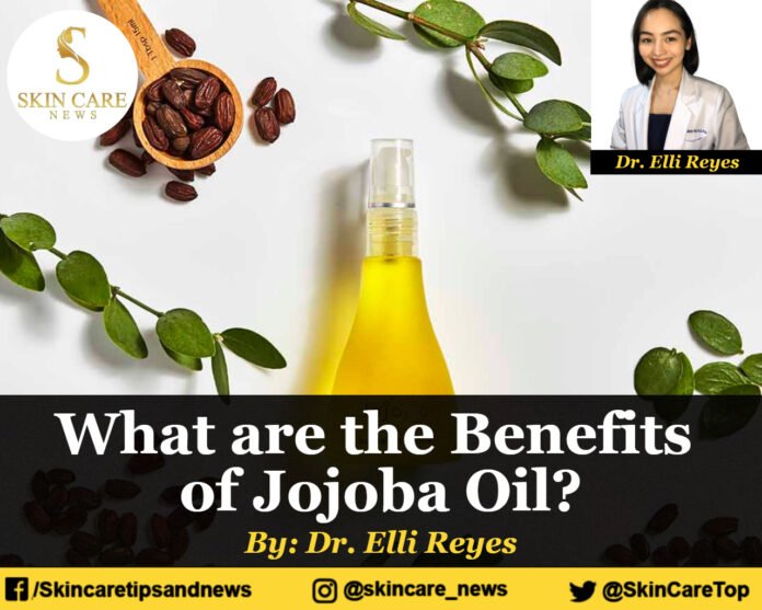 What are the Benefits of Jojoba Oil?
