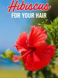 How to Use Hibiscus for Your Hair Health? 