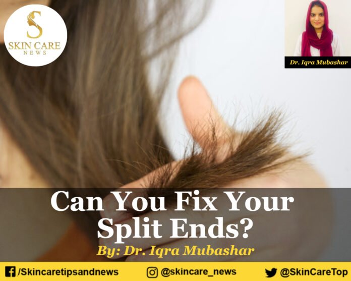 Can You Fix Your Split Ends?