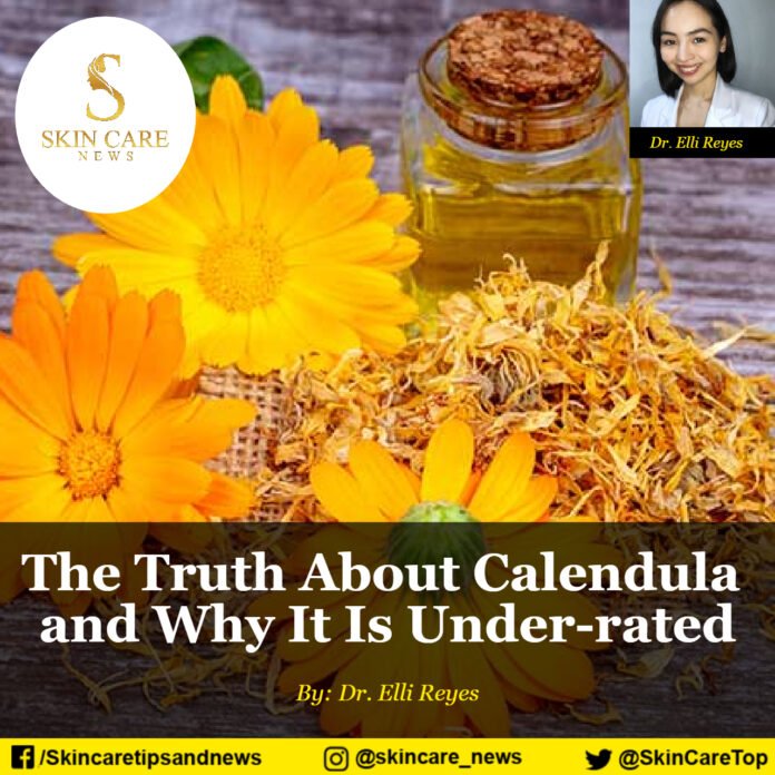 The Truth About Calendula and Why It Is Under-rated