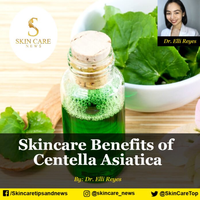 Skincare Benefits of Centella Asiatica