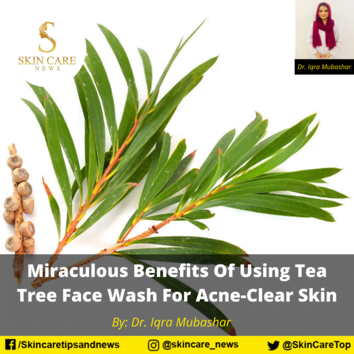 Miraculous Benefits Of Using Tea Tree Face Wash For Acne-Clear Skin