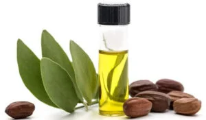 Birçok insan cilt bakım rutininin bir parçası olarak jojoba yağı kullanır. Ve bunun için iyi sebepler var. Akne, kuru cilt ve sayısız diğer cilt rahatsızlıkları için bir çare olarak saf jojoba yağının kullanımını destekleyen birçok kanıt var. Burada bu yağı kullanmanın birkaç önemli faydasını bulacaksınız.
