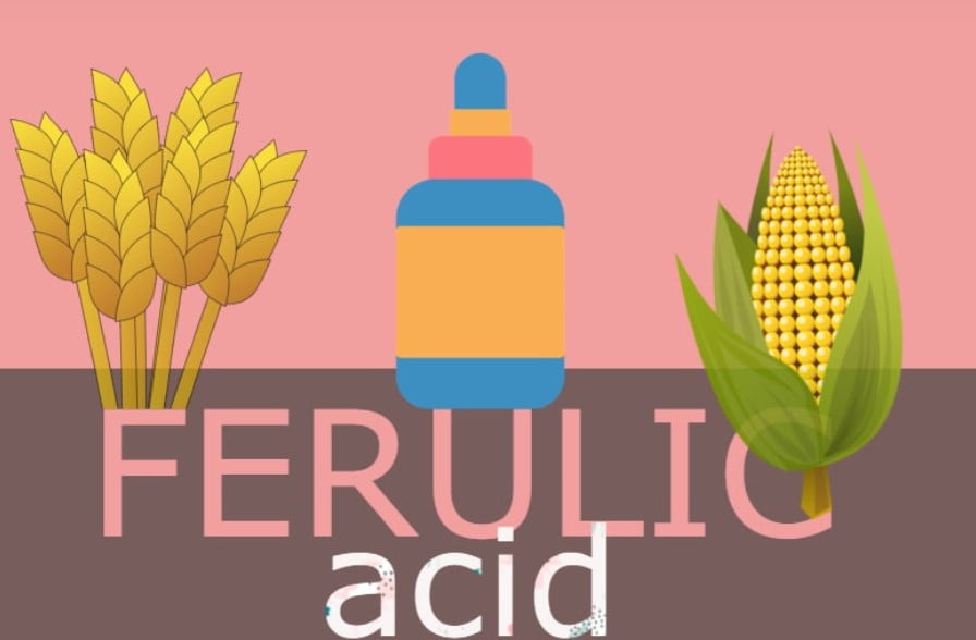 Know The Magical Beauty Benefits Of Ferulic Acid