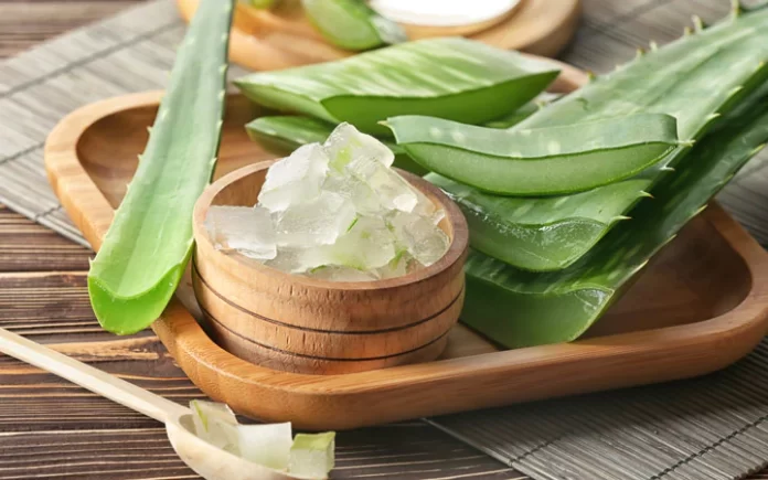 Aloe Vera Oil: Your Natural Solution for Gorgeous Hair