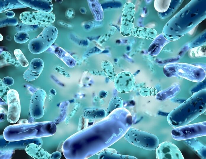 Unveiling the Secrets of the Skin Microbiome