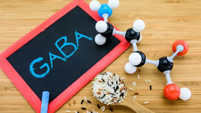 Unraveling the Wonders of GABA Vitamins: Enhancing Your Well-being with Nature's Calming Ally