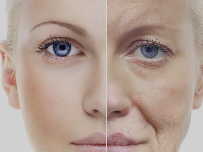 Unlocking the Fountain of Youth: The Power of Vitamin K in Anti-Aging