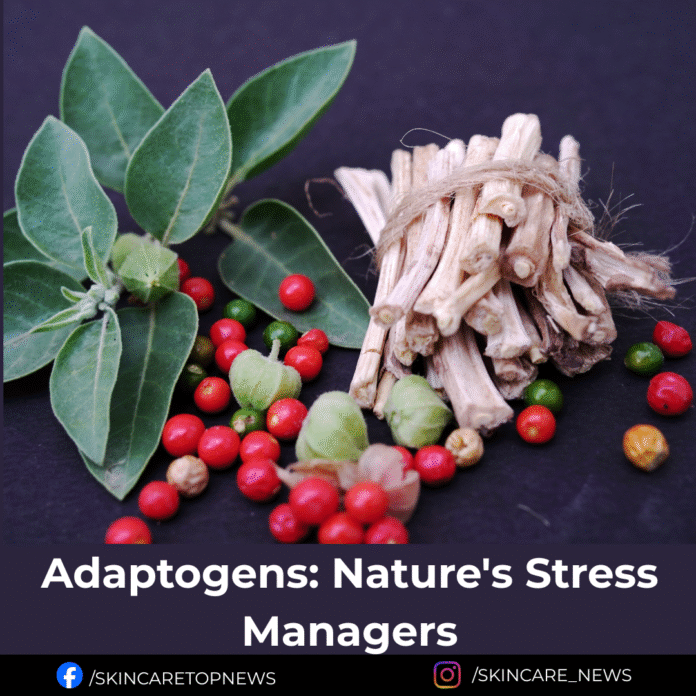 Adaptogens: Nature’s Stress Managers